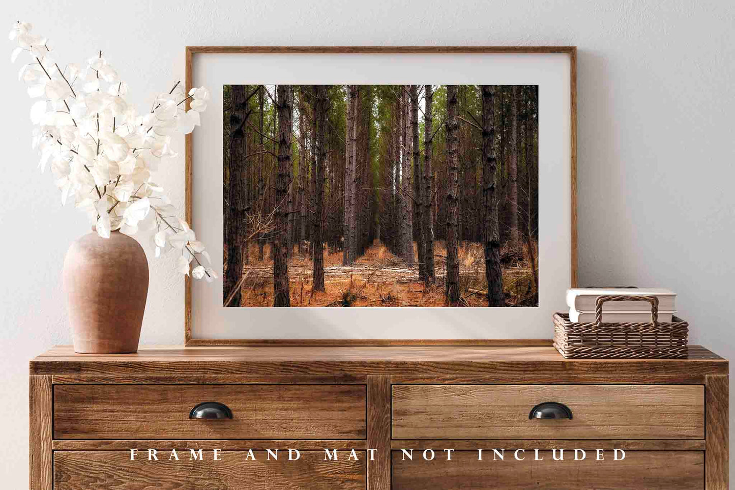 Forest Photography Print (Unframed) Pine Trees Rows in Mississippi | Southeast US Landscape Wall Art Southern Decor