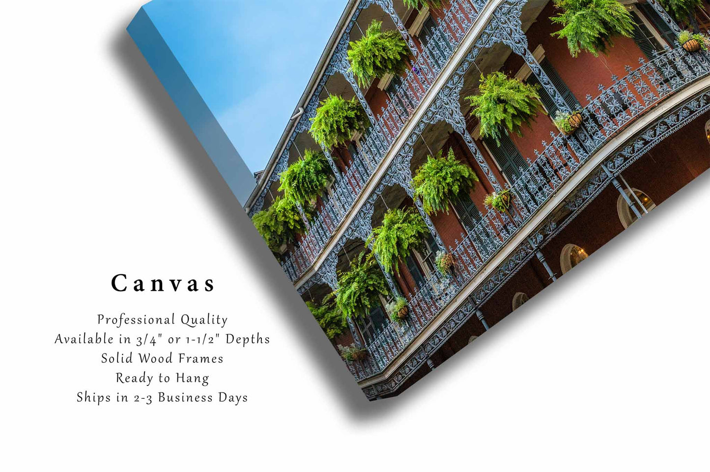 French Quarter Canvas | Corner Building with Hanging Ferns Gallery Wrap | NOLA Photography | Louisiana Wall Art | New Orleans Decor | Ready to Hang