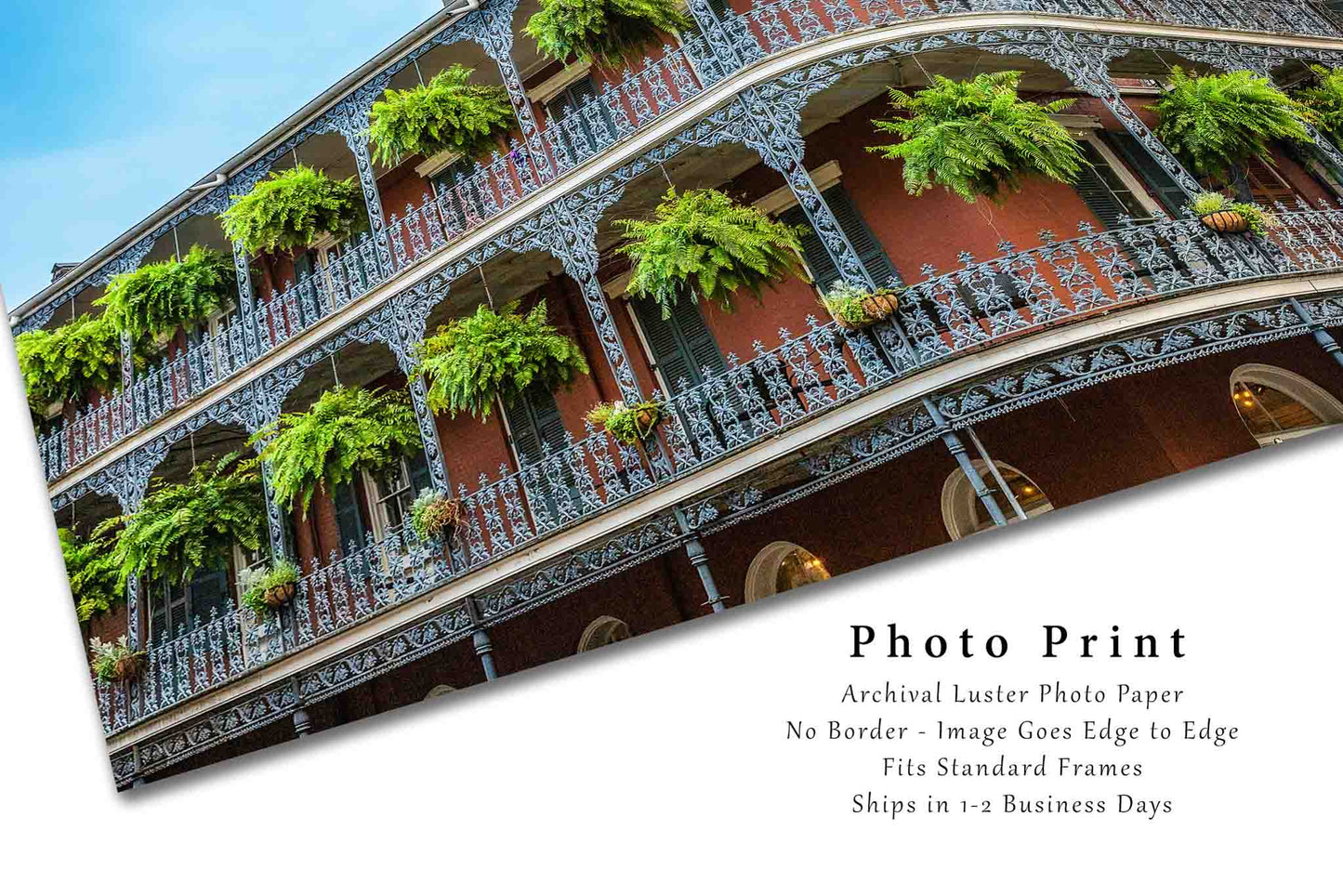 New Orleans Photography Print - Wall Art Picture of Hanging Ferns On Corner Building in French Quarter Southern Louisiana Travel Decor