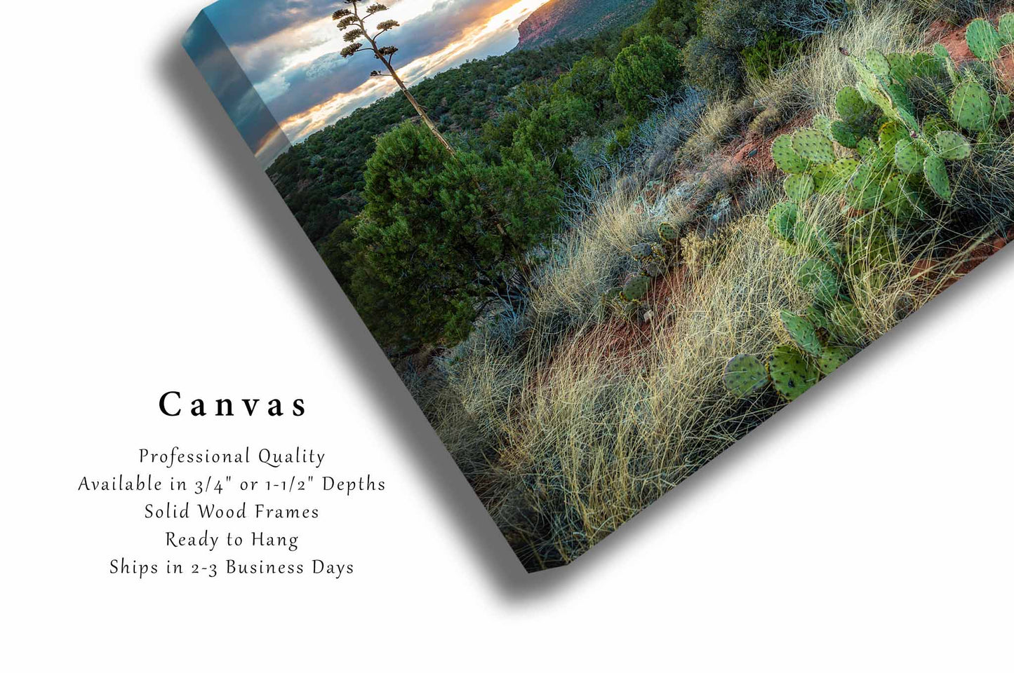 Sedona Canvas | Desert Landscape Gallery Wrap | Southwest Photography | Arizona Wall Art | Nature Decor | Ready to Hang