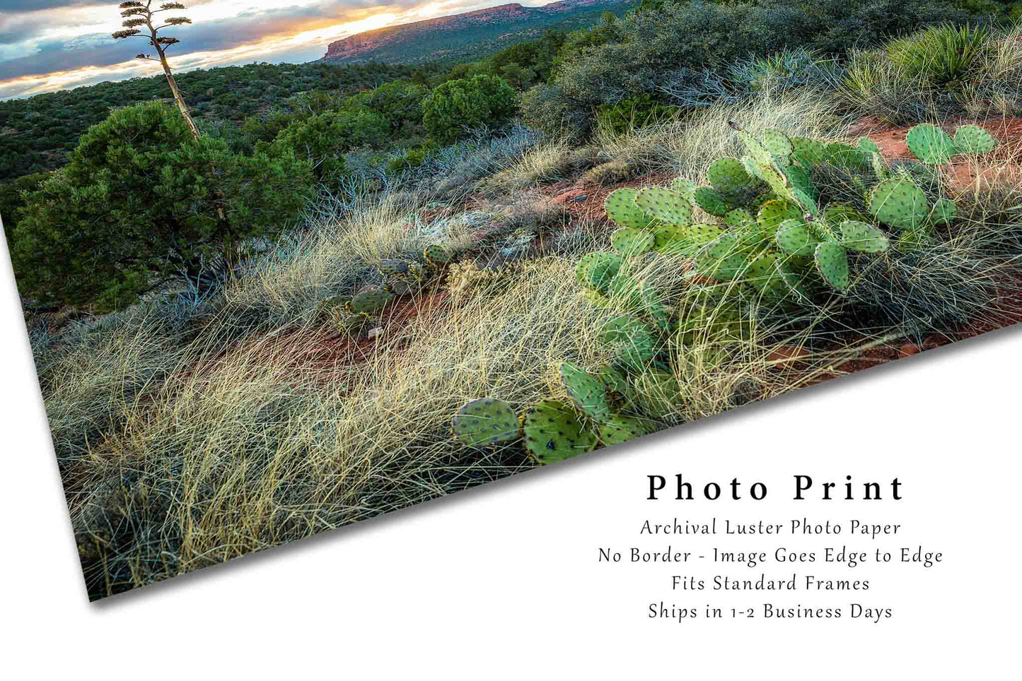 Southwest Photography Wall Art Print - Picture of Desert Landscape at Sunset Near Sedona Arizona Nature Decor 4x6 to 40x60