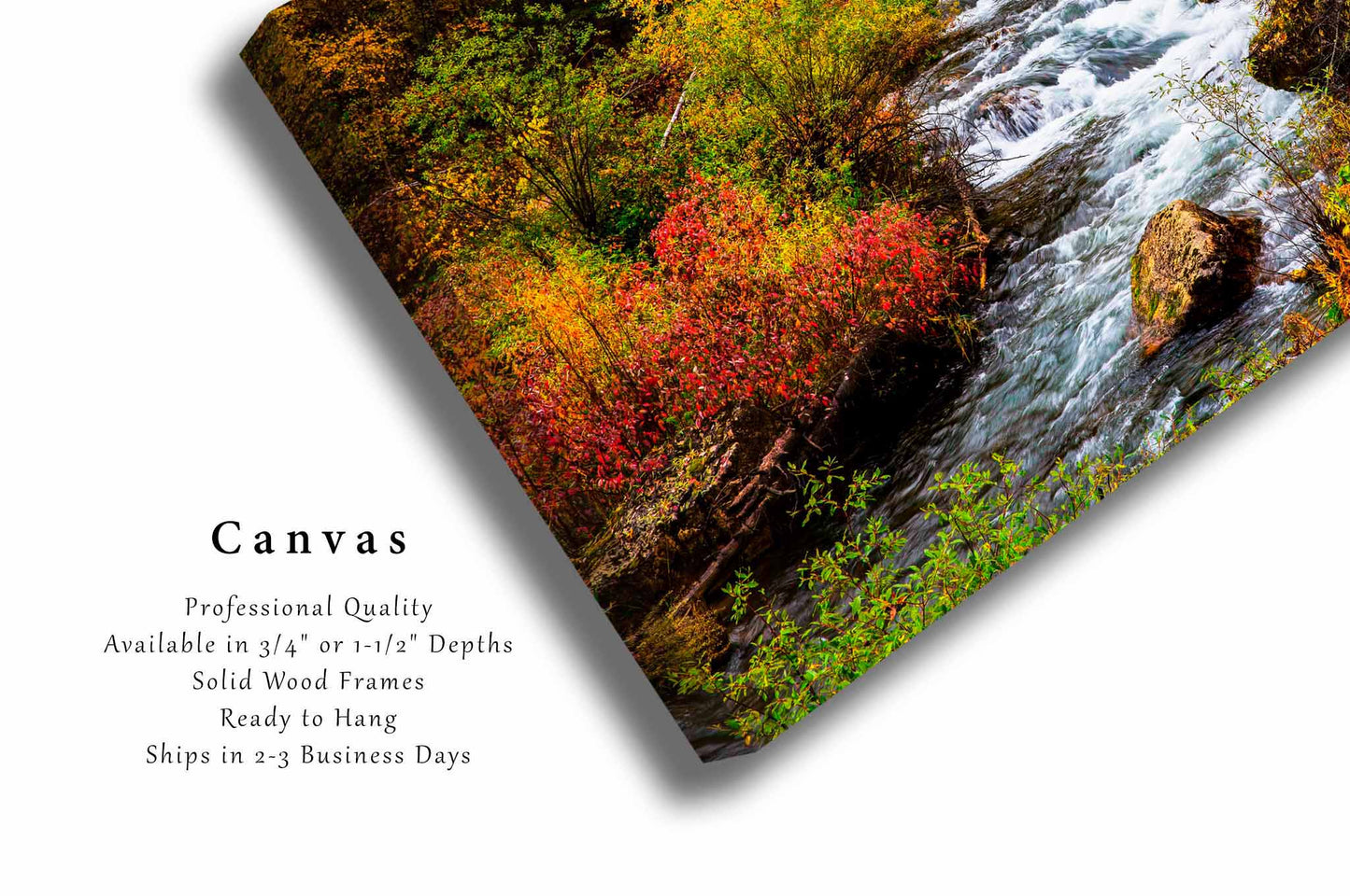 Spearfish Canyon Canvas | Creek in Fall Color Gallery Wrap | South Dakota Photography | Black Hills Wall Art | Nature Decor | Ready to Hang