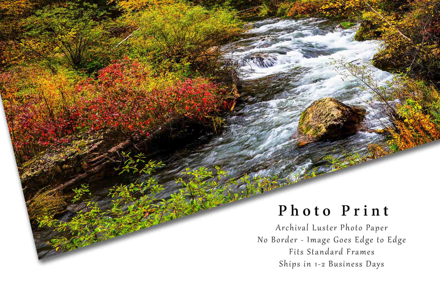 Black Hills Photography Print (Not Framed) Picture of Creek Flowing Through Fall Color in Spearfish Canyon South Dakota Western Wall Art Nature Decor