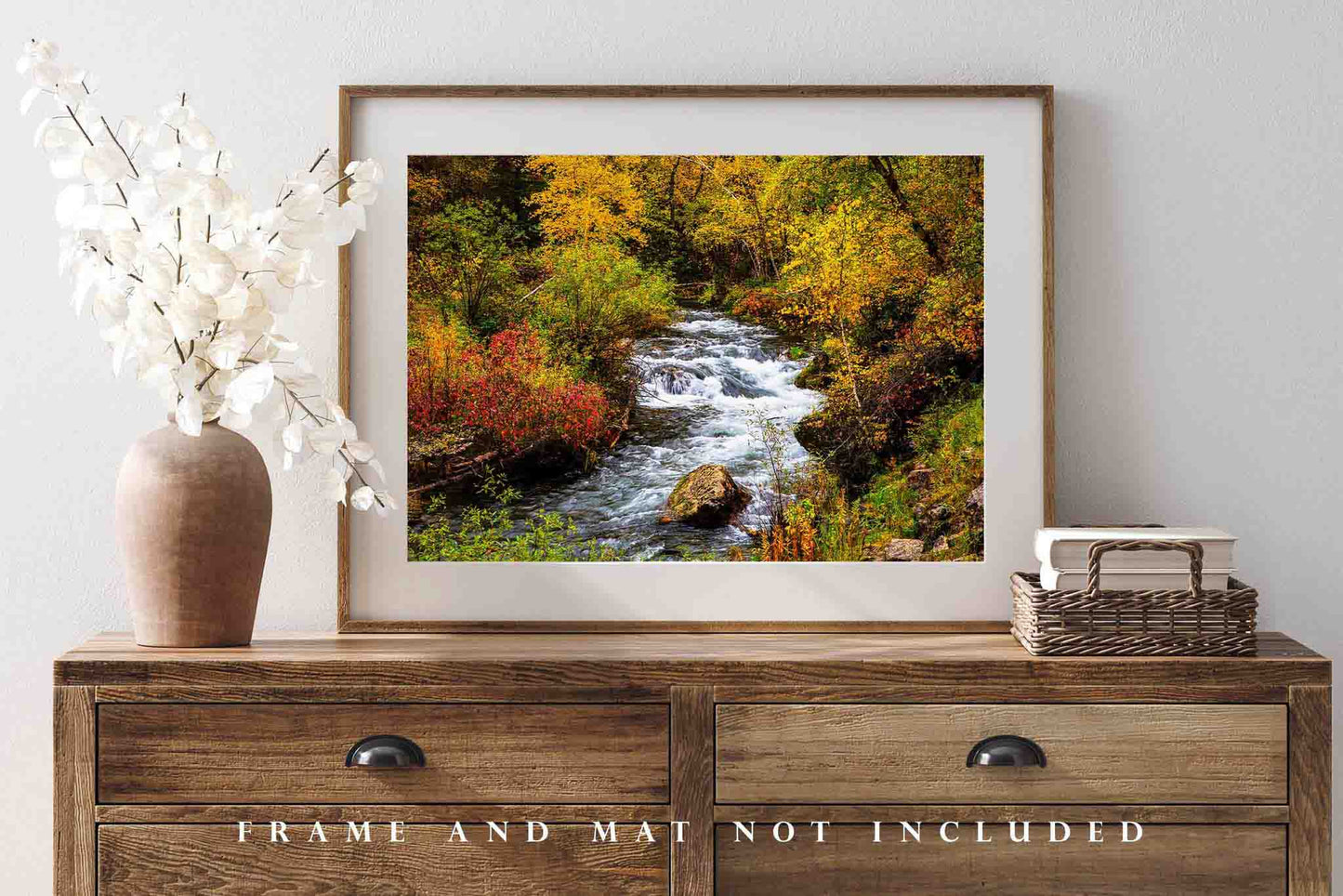 Spearfish Canyon Photography Print | Creek in Fall Color Picture | South Dakota Wall Art | Black Hills Photo | Nature Decor | Not Framed