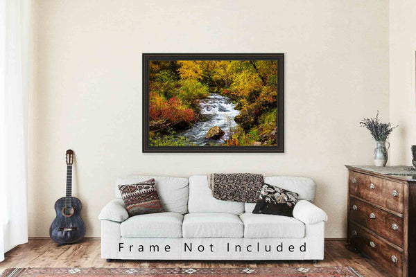 South Dakota Wall Art - Picture of Creek on Autumn Day at Spearfish Canyon - Black Hills Photography Photo Print Fall Season Artwork Decor