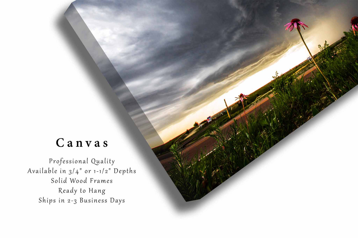 Wildflower Canvas | Storm Gallery Wrap | Thunderstorm Photography | Kansas Flower Wall Art | Nature Decor | Ready to Hang