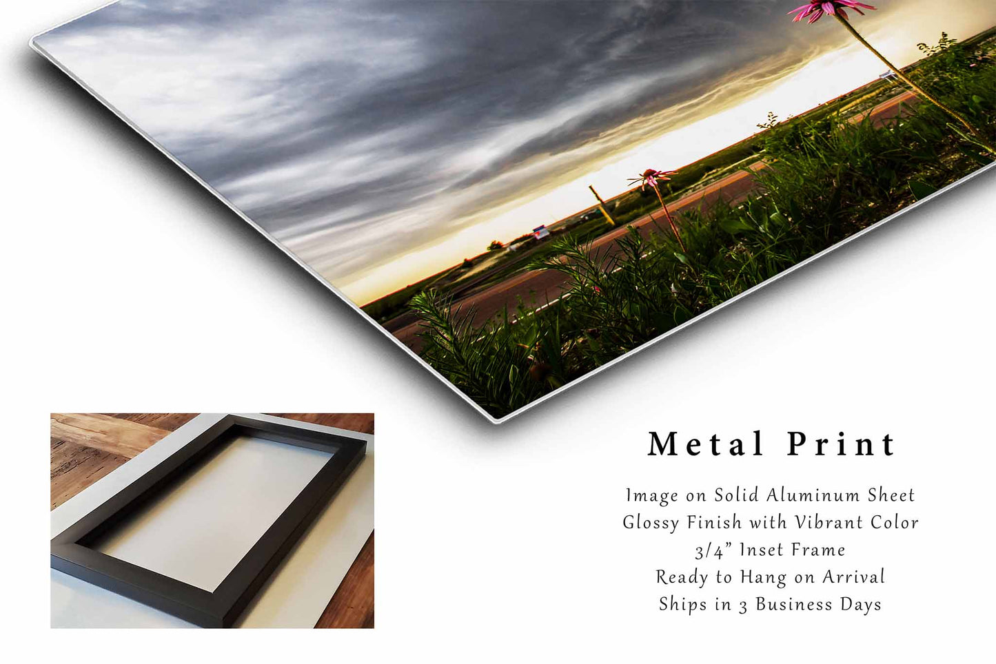 Wildflower Metal Print | Storm Photography | Thunderstorm Wall Art | Kansas Flower Photo | Nature Decor | Ready to Hang