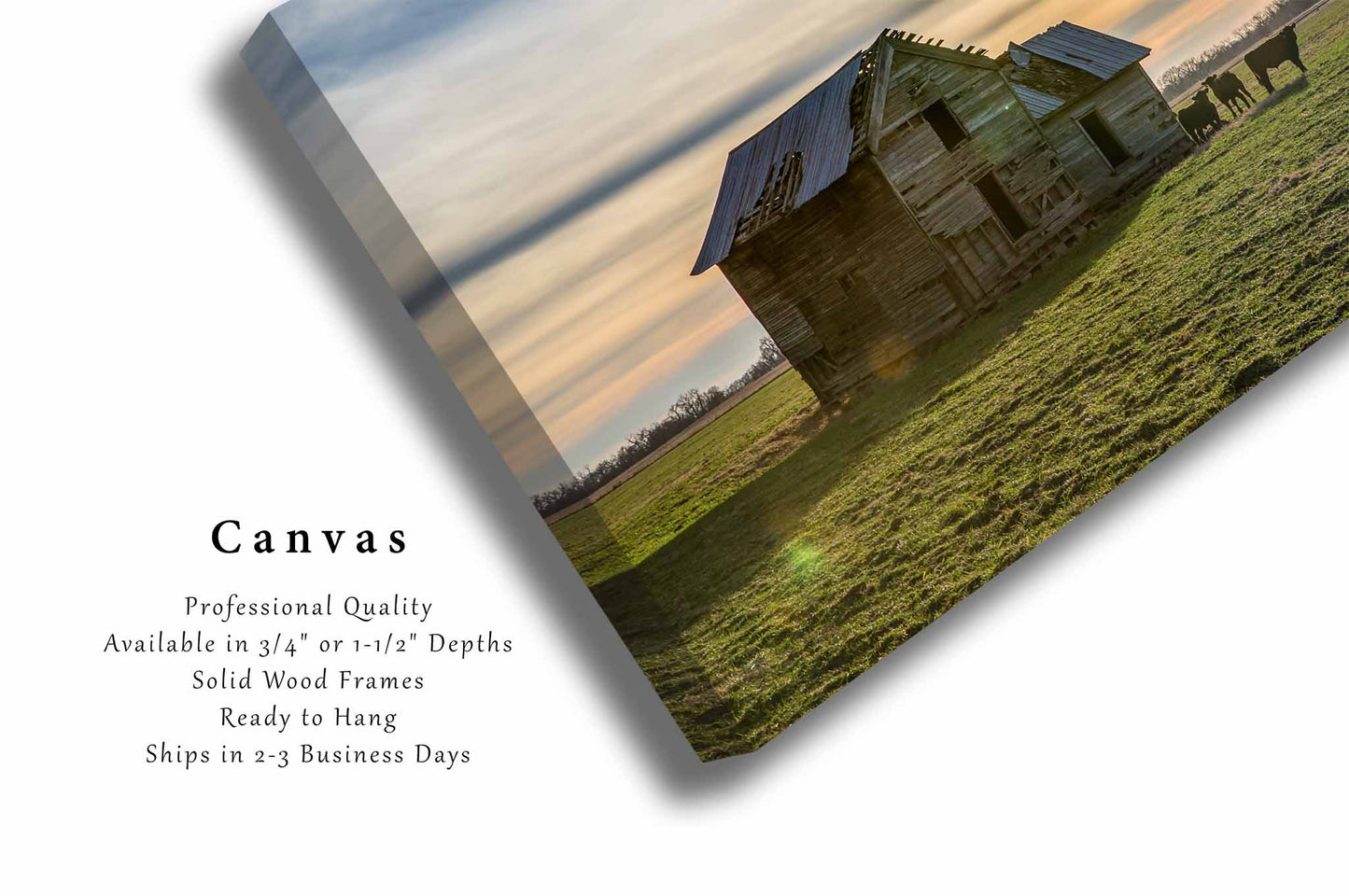 Abandoned House Canvas | Old Homestead Gallery Wrap | Country Photography | Oklahoma Wall Art | Farmhouse Decor | Ready to Hang