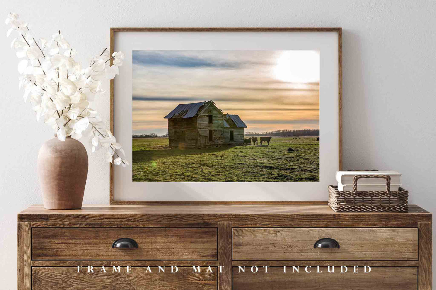Country Photography Wall Art Print - Picture of Abandoned House in Field Guarded by Angus Cows in Oklahoma Rural Farm Decor 4x6 to 40x60