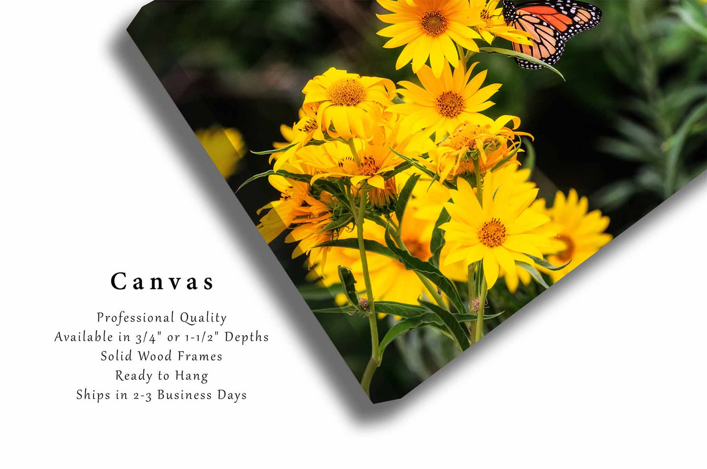 Wildflowers Canvas | Monarch Butterfly Gallery Wrap | Flower Photography | Oklahoma Wall Art | Nature Decor | Ready to Hang