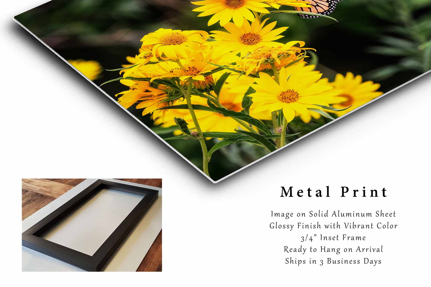 Wildflowers Metal Print | Monarch Butterfly Photography | Flower Wall Art | Oklahoma Photo | Nature Decor | Ready to Hang