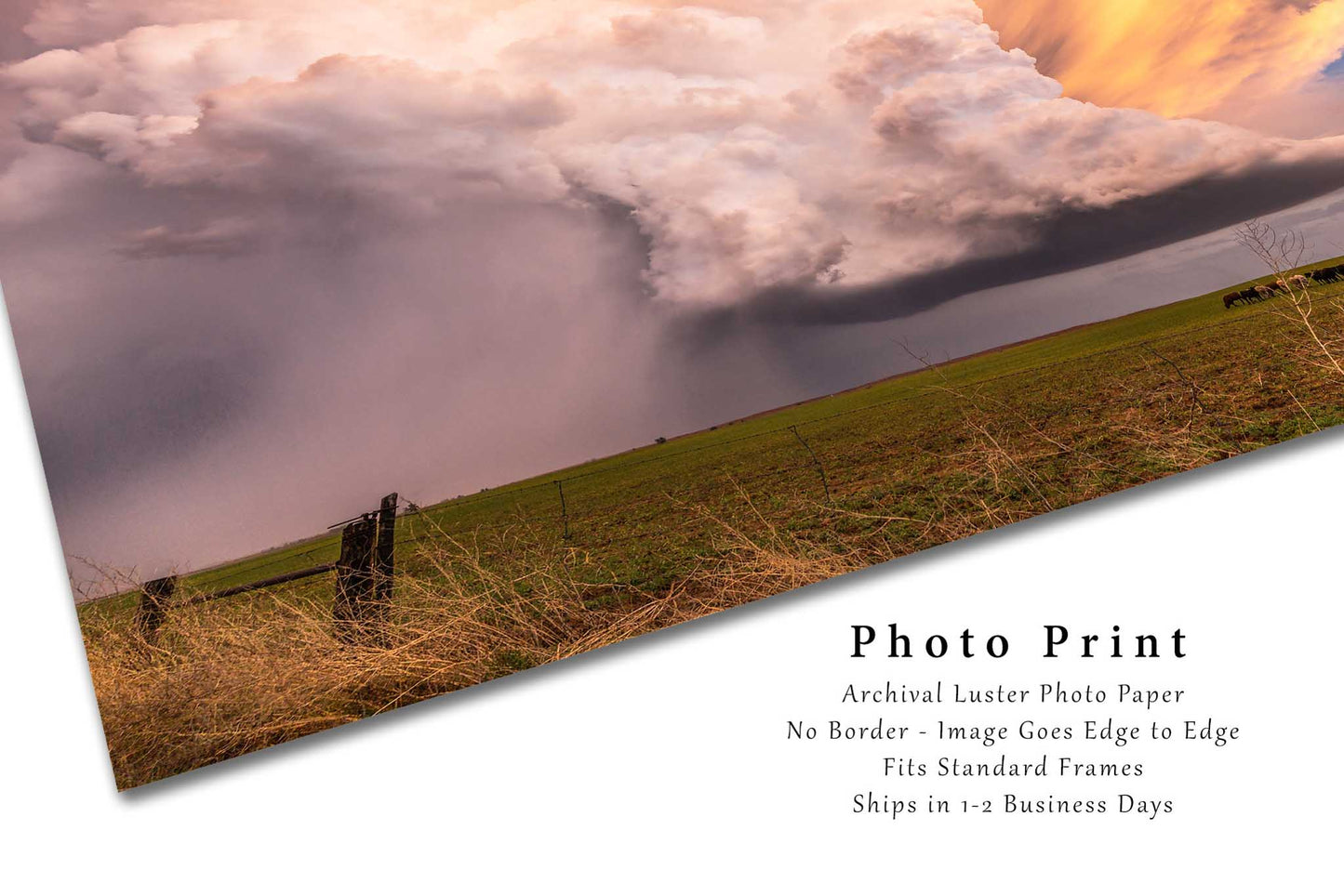 Storm Photography Print | Supercell Thunderstorm at Sunset Picture | Weather Wall Art | Kansas Landscape Photo | Prairie Decor | Not Framed