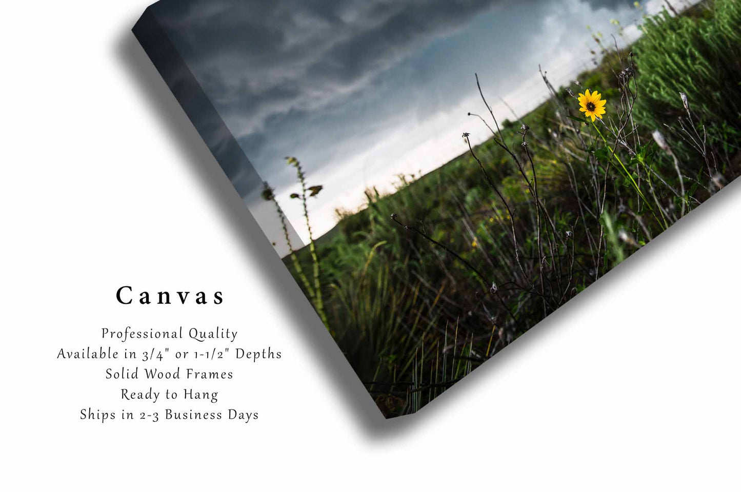 Sunflower Canvas | Storm Gallery Wrap | Thunderstorm Photography | Texas Wall Art | Nature Decor | Ready to Hang