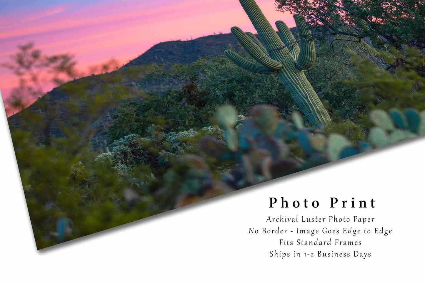 Southwest Photography Wall Art Print - Picture of Saguaro Cactus and Colorful Sky in the Sonoran Desert in Arizona Succulent Decor