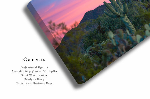 Southwestern Canvas Wall Art - Gallery Wrap of Saguaro Cactus at Sunset in Sonoran Desert Arizona - Western Photography Photo Artwork Decor