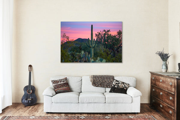 Southwestern Canvas Wall Art - Gallery Wrap of Saguaro Cactus at Sunset in Sonoran Desert Arizona - Western Photography Photo Artwork Decor