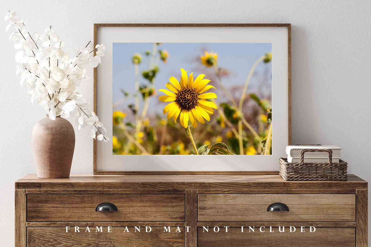 Sunflower Picture - Nature Photography Print of Yellow Wildflower on Summer Day in Oklahoma Botanical Floral Wall Art Photo Flower Decor
