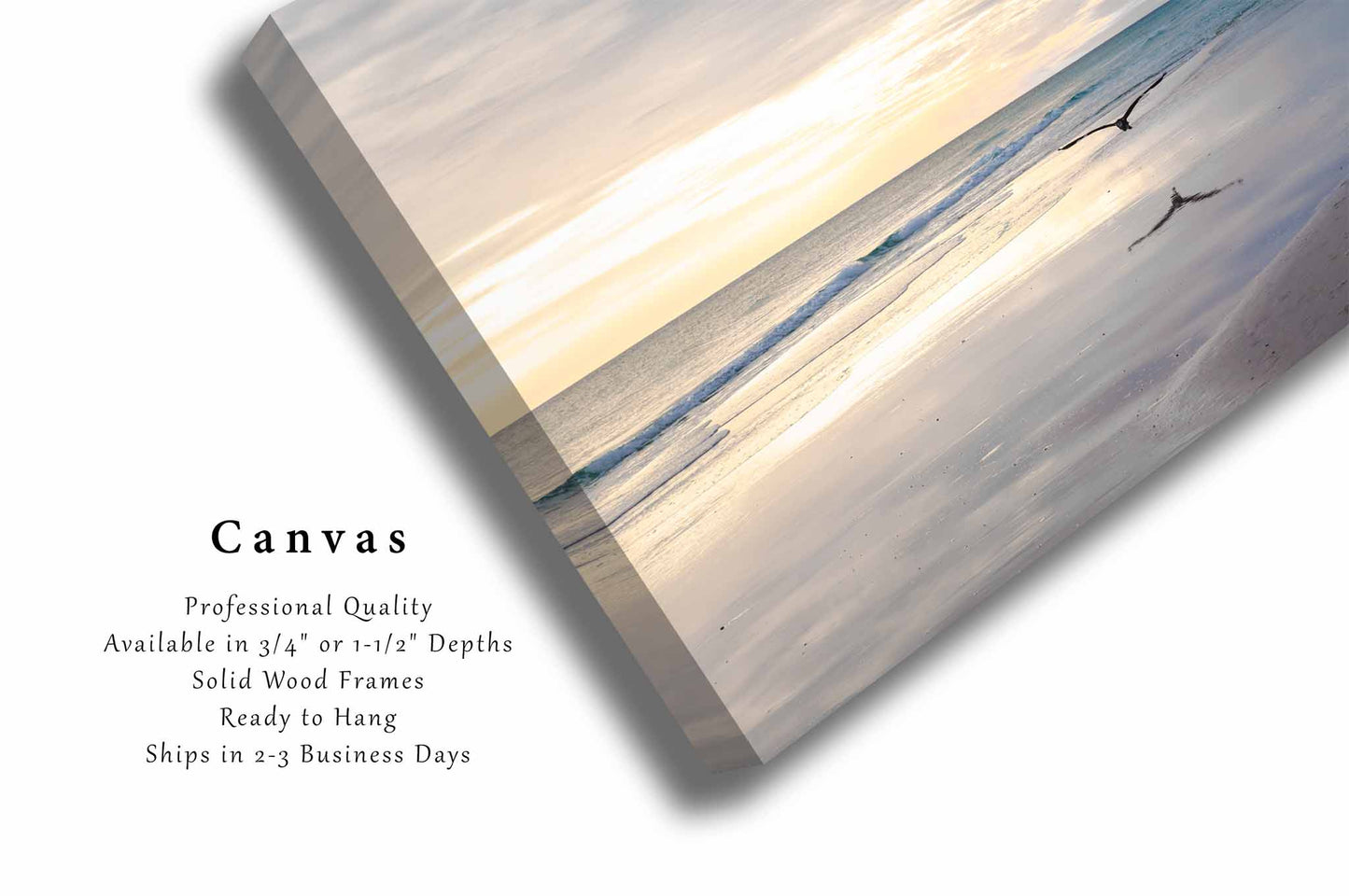 Sea Bird Flying Over Waves at Pensacola Beach Florida Canvas Wall Art | Gulf Coast Photography Coastal Decor