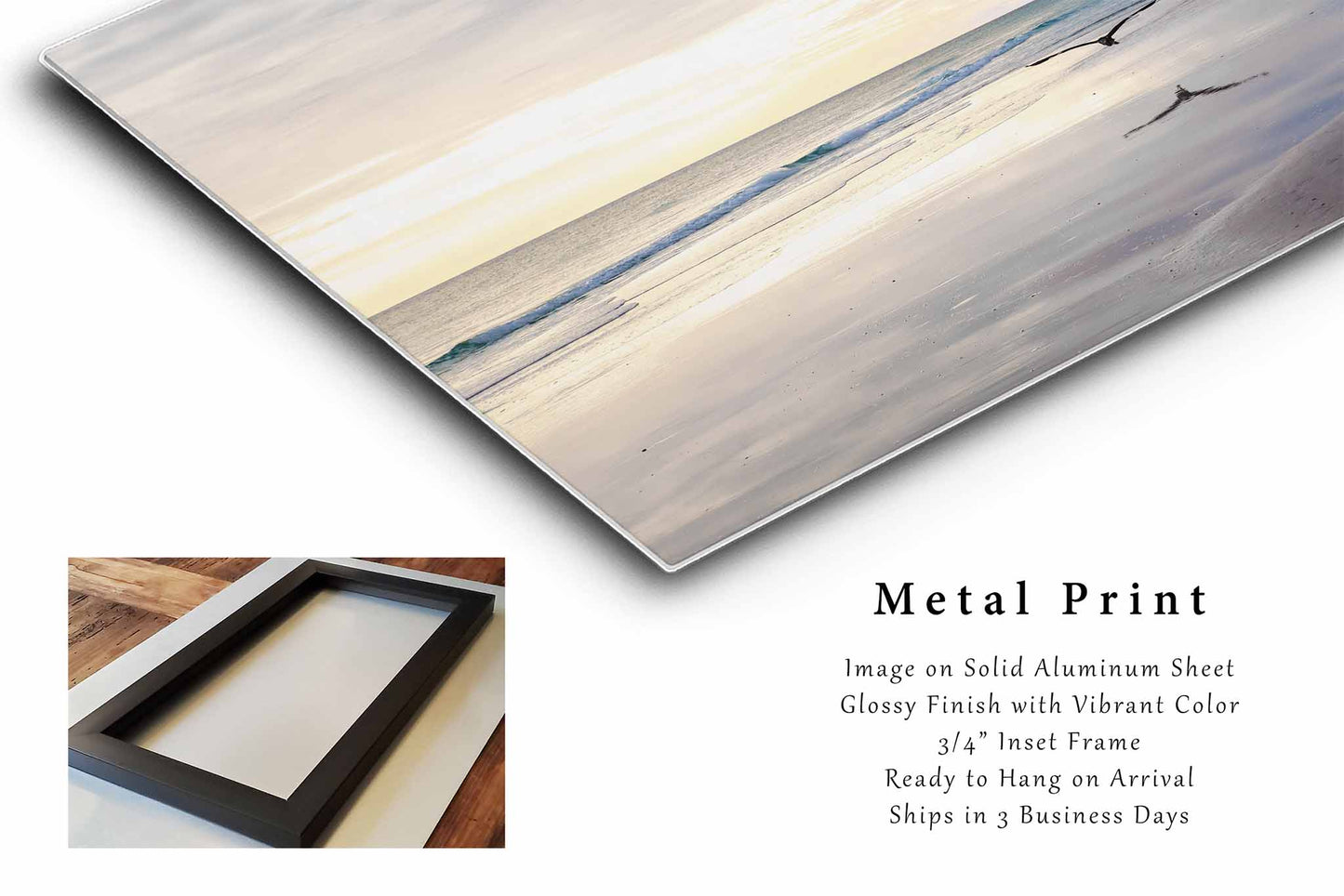 Sea Bird Flying Over Waves at Pensacola Beach Florida Metal Print Wall Art | Gulf Coast Photography Coastal Decor