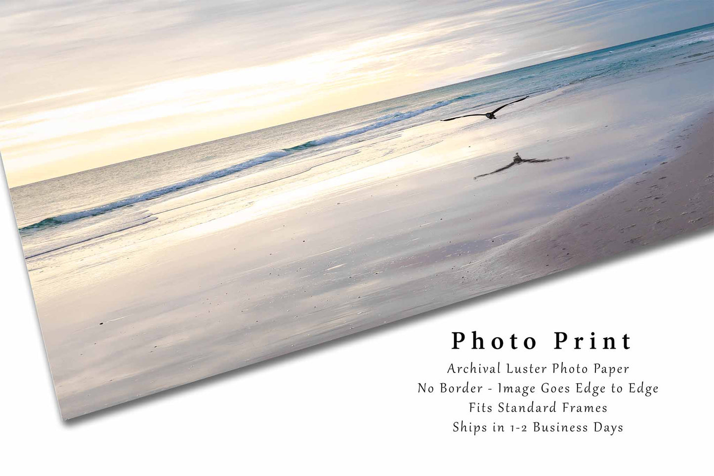 Sea Bird Flying Over Waves at Pensacola Beach Florida Photo Print (Unframed) | Gulf Coast Wall Art Coastal Decor