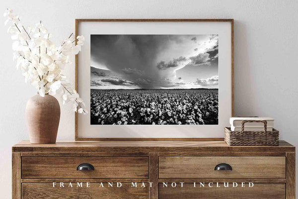 Country Photo Print | Storm Over Cotton Field Picture | Oklahoma Wall Art | Black and White Photography | Farmhouse Decor