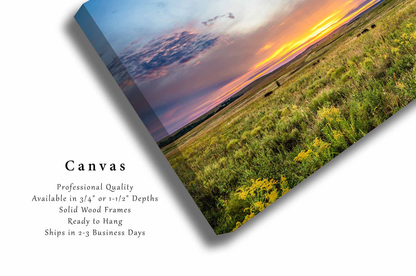 Tallgrass Prairie Canvas | Great Plains Gallery Wrap | Sunset Photography | Oklahoma Landscape Wall Art | Western Decor | Ready to Hang