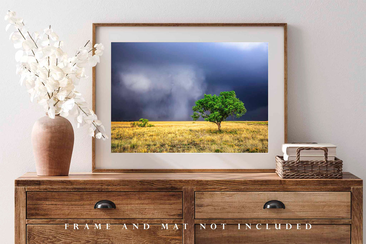 Rain Wrapped Storm Cloud and Lone Tree in Texas Photo Print (Unframed) | Thunderstorm Wall Art Weather Decor