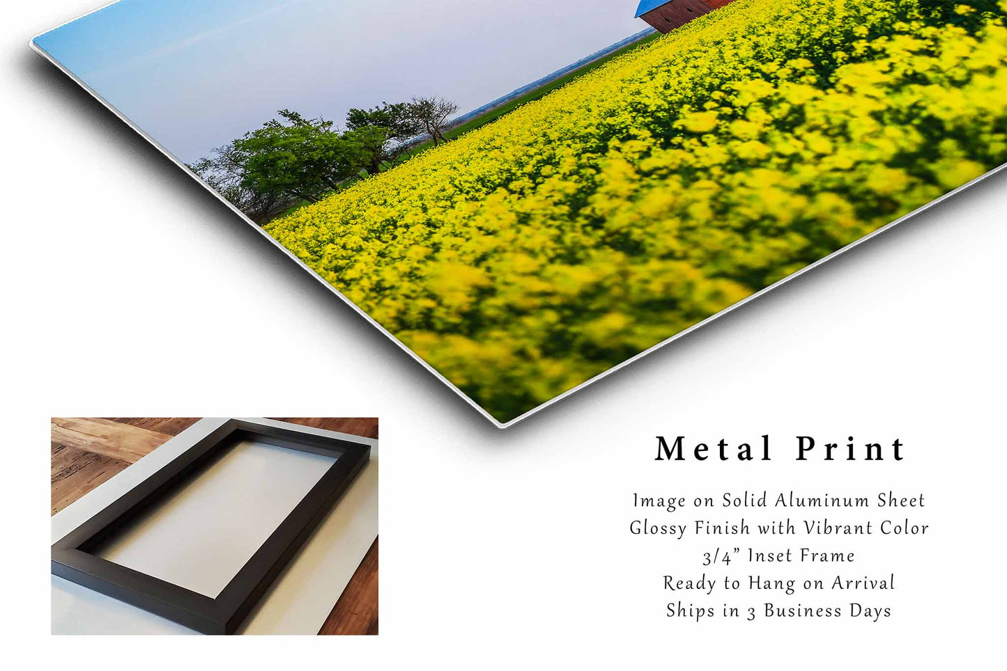 Barn Metal Print | Canola Field Photography | Farm and Country Wall Art | Oklahoma Photo | Great Plains Decor | Ready to Hang