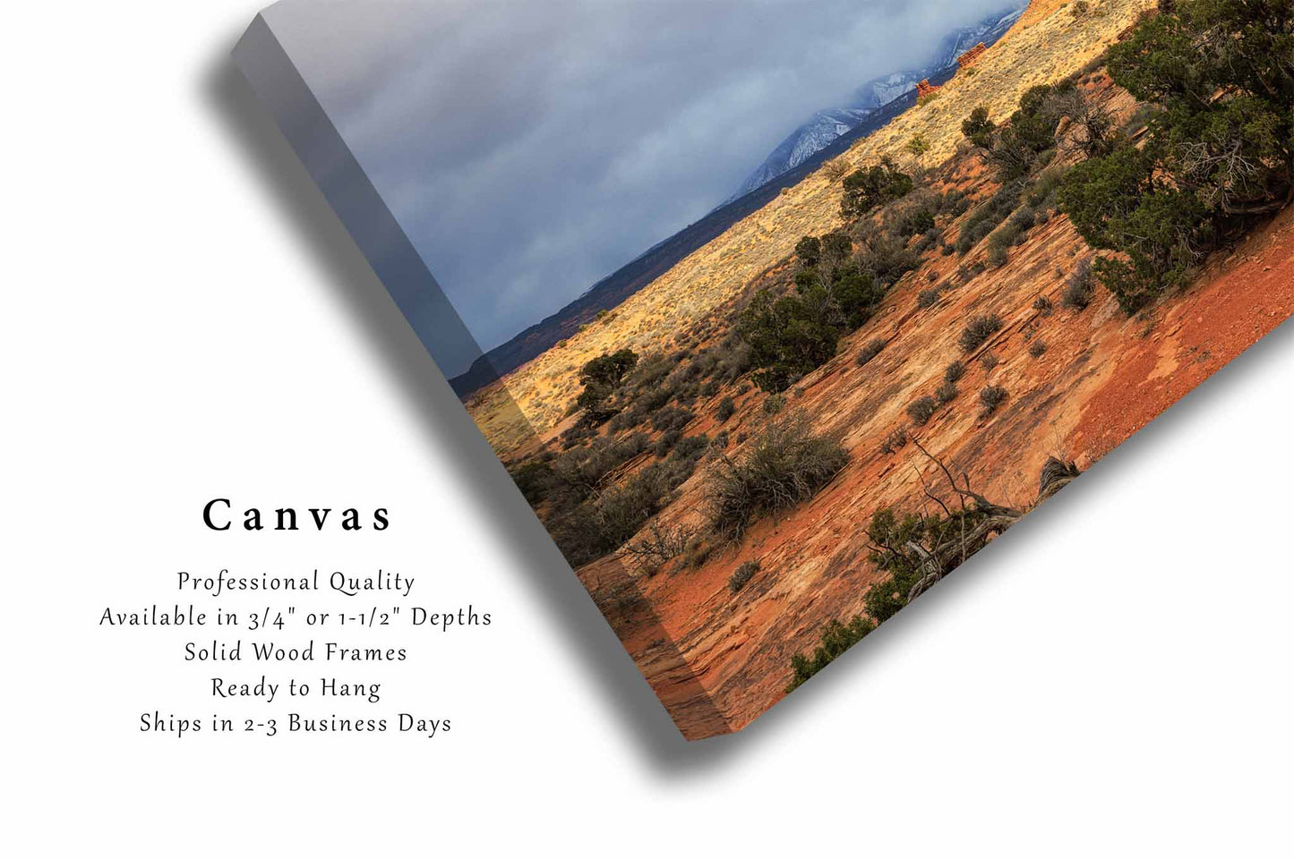 Sandstone Formation at Arches National Park Utah Canvas Wall Art | Western Landscape Photography Nature Decor