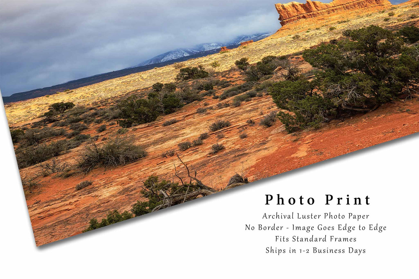 The Great American West | Arches National Park Photography Print | Moab Utah Landscape Wall Art | Unframed