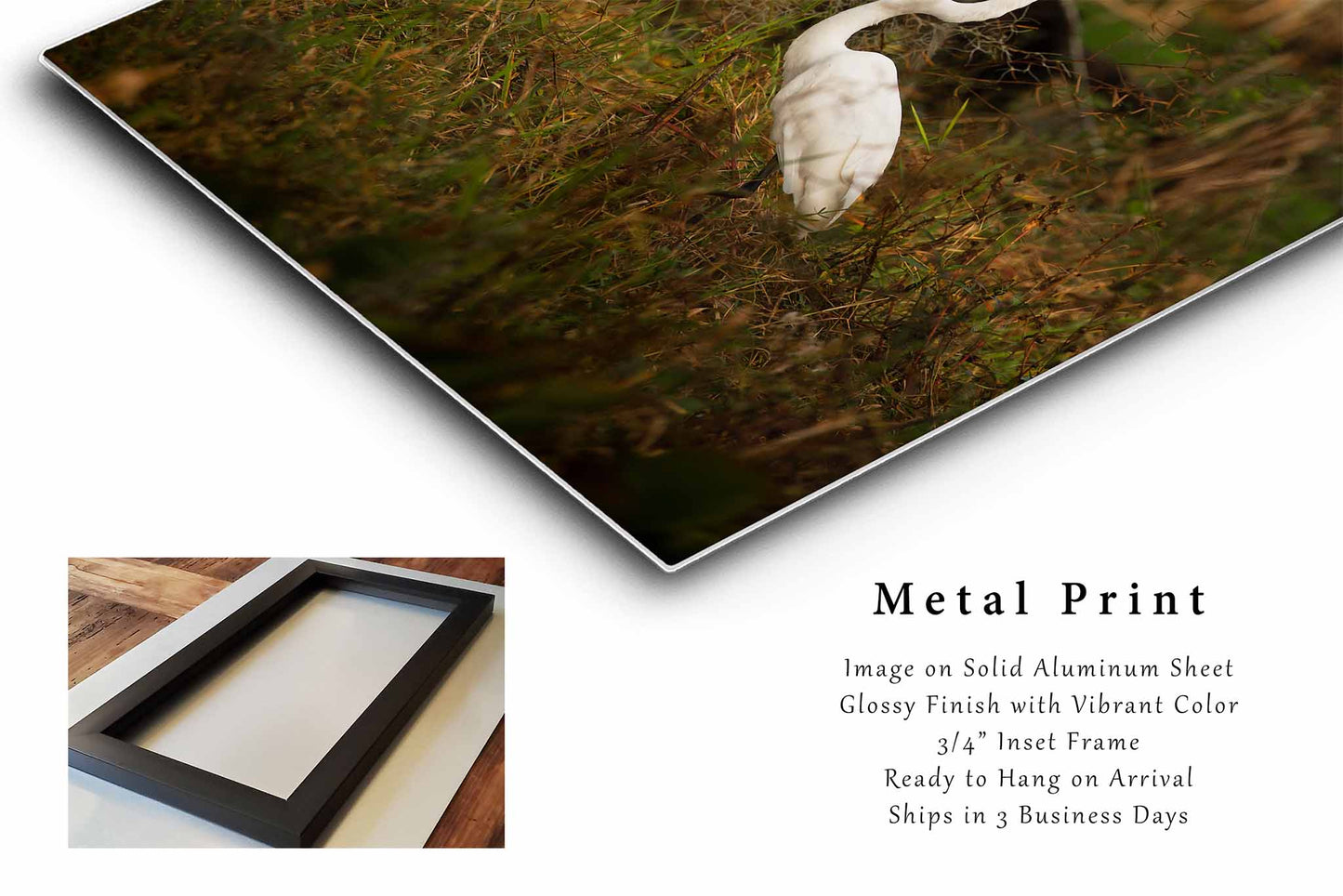 Great Egret Metal Print | Louisiana Swamp Water Bird Vertical Bayou Wildlife Photography Wall Art Decor