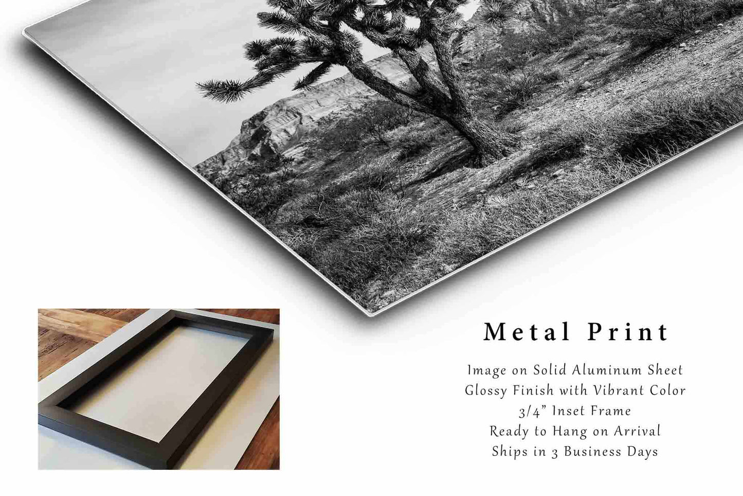 Joshua Tree Metal Print | Desert Photography | Black and White Wall Art | Arizona Photo | Southwestern Decor | Ready to Hang