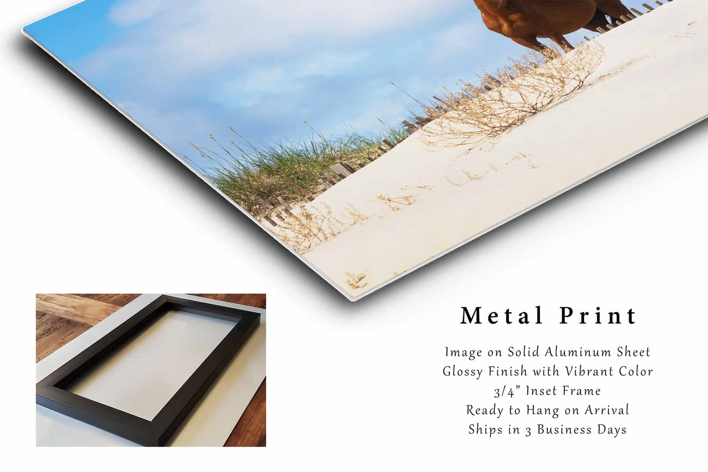 Wild Horse Metal Print | Outer Banks Photography | Coastal Equine Wall Art | Corolla North Carolina Photo | OBX Decor | Ready to Hang