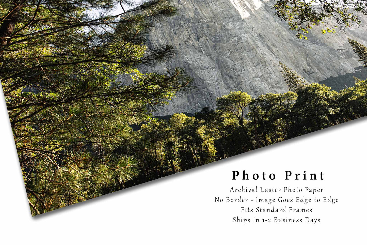 El Capitan Photography Print | Yosemite Picture | National Parks Wall Art | California Photo | Sierra Nevada Decor | Not Framed