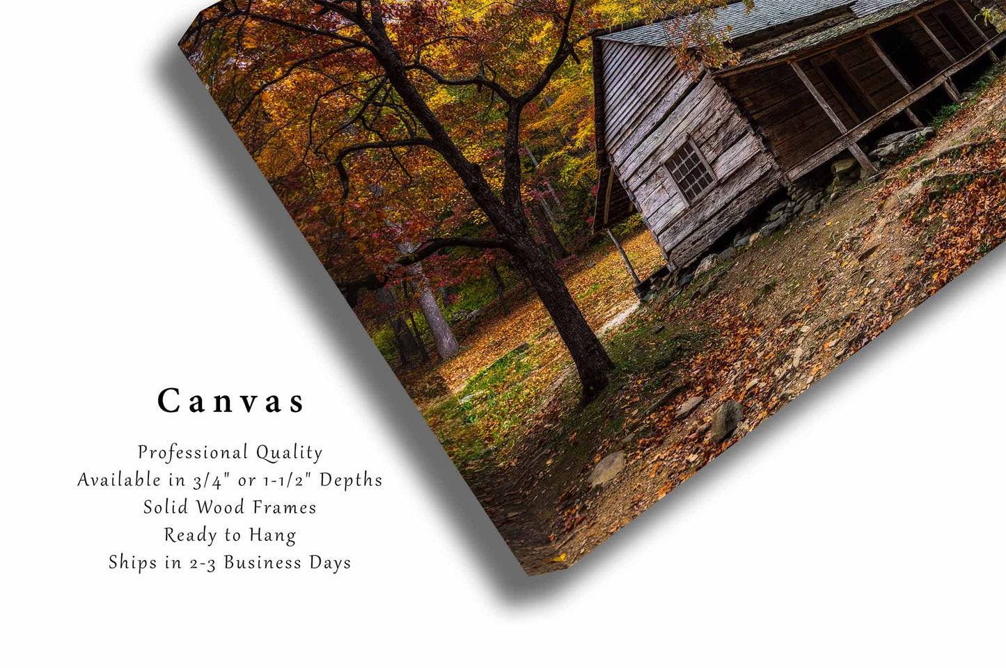 Great Smoky Mountains Canvas | Ogle Cabin Gallery Wrap | Rustic Country Photography | Tennessee Wall Art | Appalachian Decor | Ready to Hang