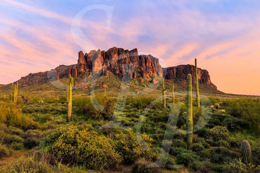 The Superstitions - One Time Use License