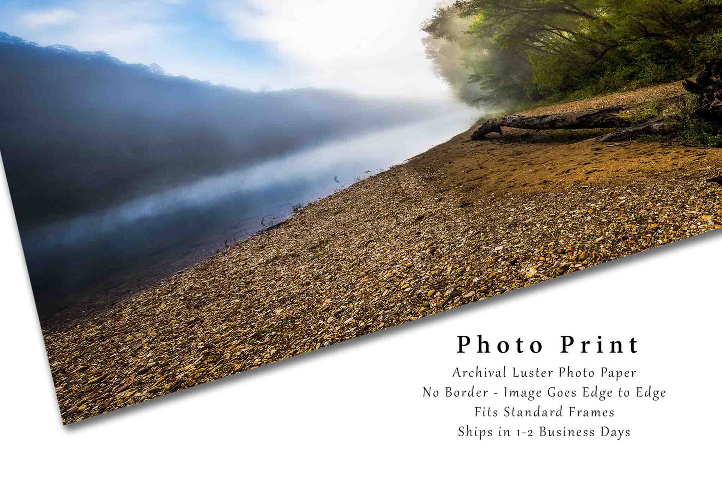 Ozark Mountains Photography Print (Not Framed) Picture of Fallen Tree on Foggy Morning Along Buffalo River in Arkansas Outdoors Wall Art Nature Decor