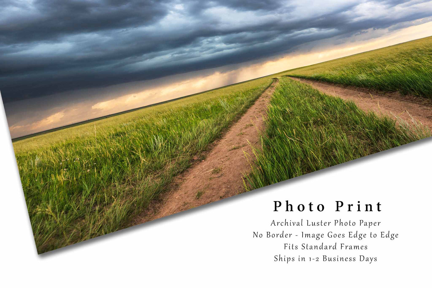 Northern Plains Photography Print (Not Framed) Picture of Wheel Ruts in Prairie Grass on Stormy Day in Wyoming Ranching Wall Art Western Decor