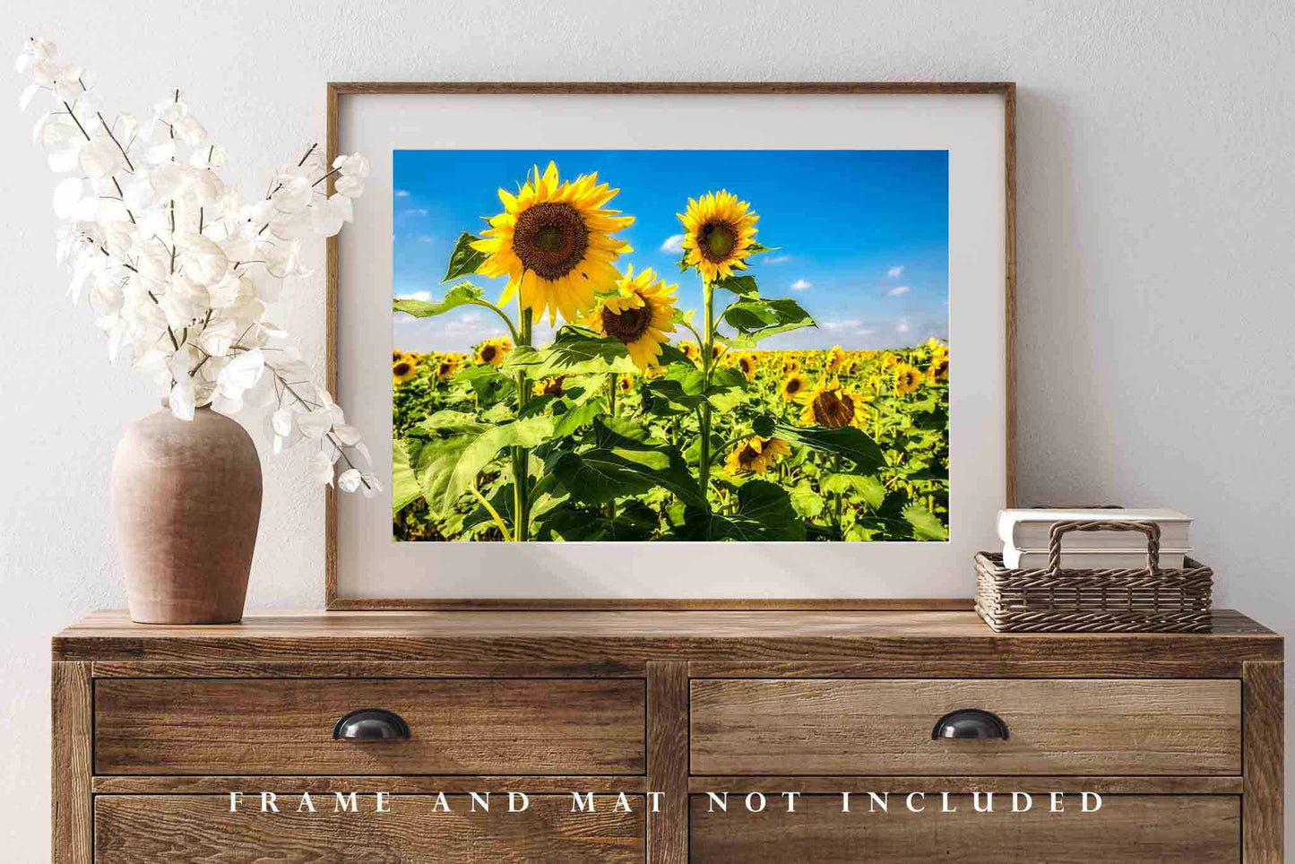 Sunflower Photography Print | Kansas Picture | Botanical Wall Art | Country Photo | Farmhouse Decor | Not Framed