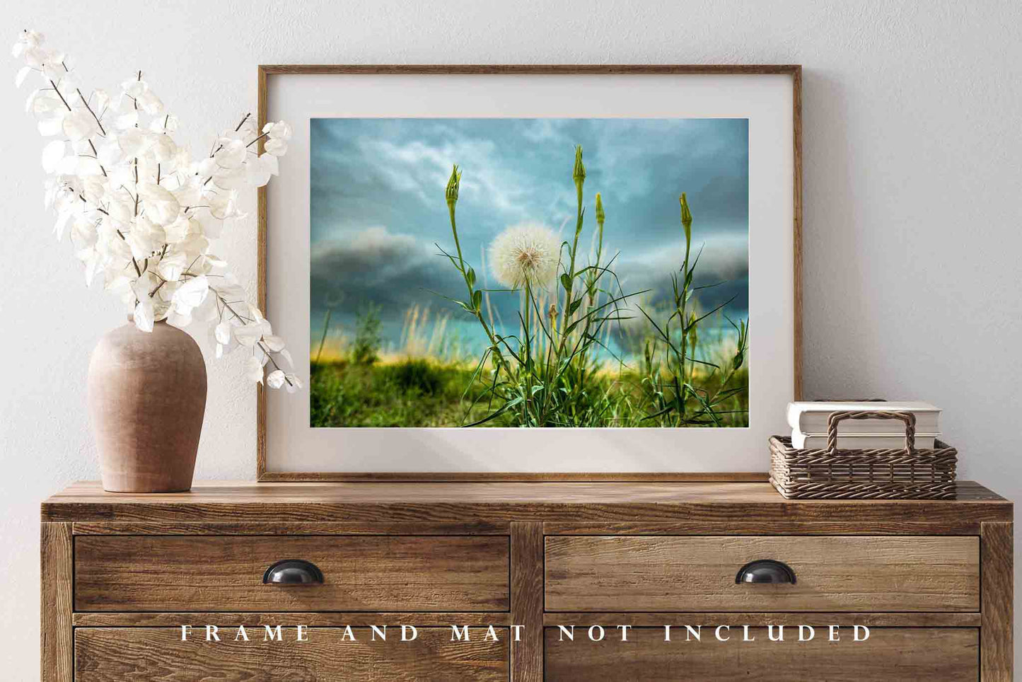 Botanical Photography Print (Not Framed) Picture of Goats Beard Dandelion on Stormy Day in Colorado Great Plains Wall Art Nature Decor