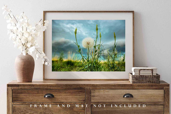 Botanical Print | Large Dandelion Wall Art | Colorado Photography | Great Plains Photo | Nature Decor