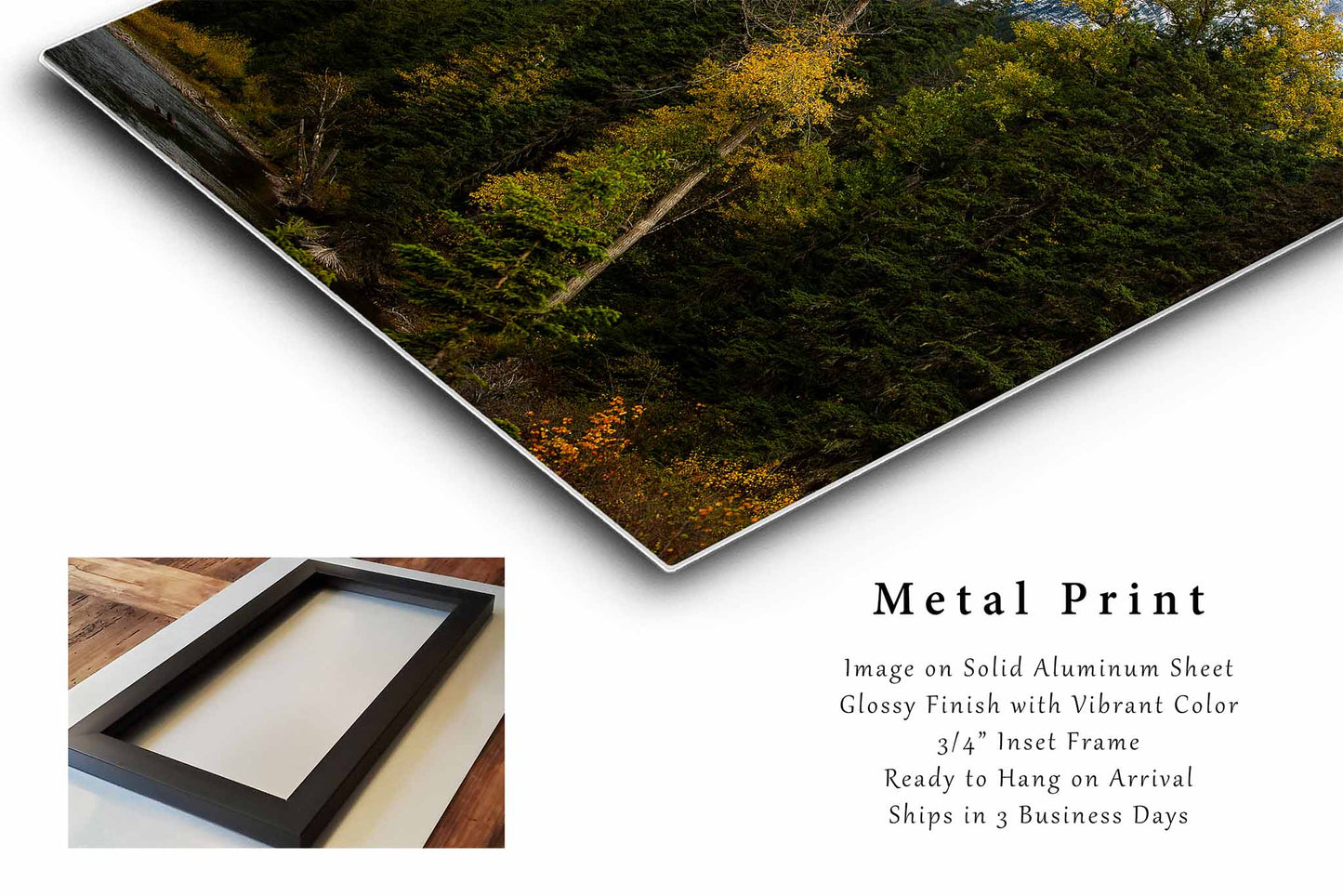 Glacier National Park Metal Print | Rocky Mountain Photography | Vertical Landscape Wall Art | Montana Photo | Nature Decor | Ready to Hang