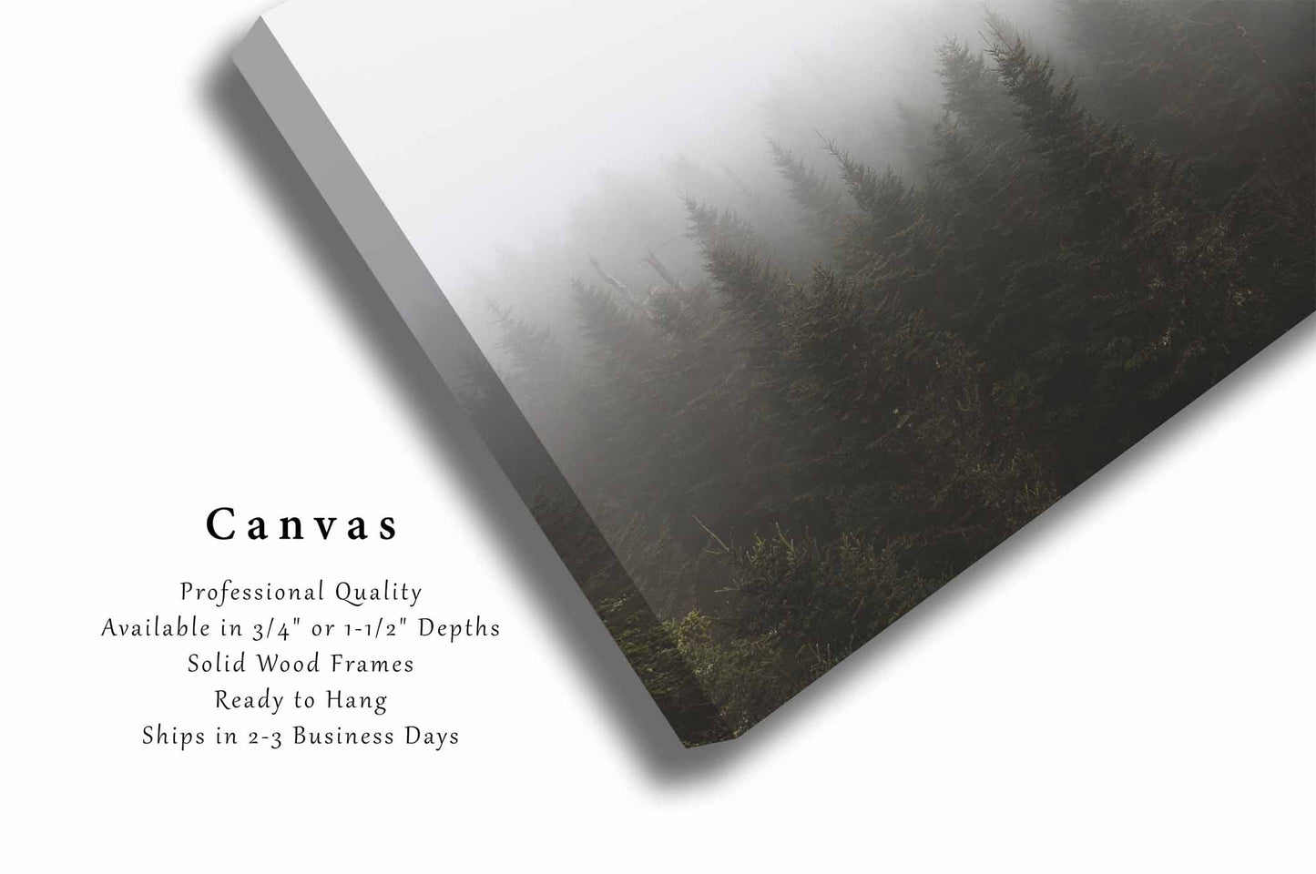 Forest Canvas | Treetops in Fog Gallery Wrap | Great Smoky Mountains Photography | North Carolina Wall Art | Ethereal Nature Decor | Ready to Hang