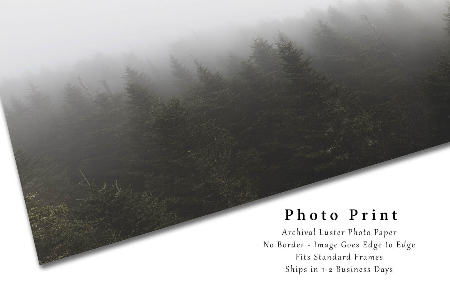 Forest Photo Print | Treetops in Fog Picture | North Carolina Wall Art | Great Smoky Mountains Photography | Nature Photo | Ethereal Decor