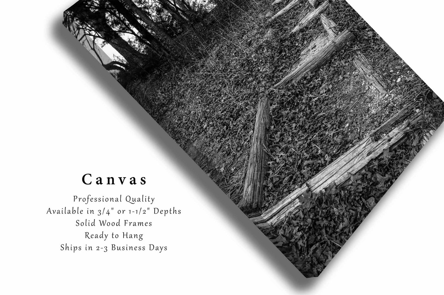 Trail Leading Up Hill in Oklahoma Canvas Wall Art | Black and White Hiking Photography Outdoors Decor