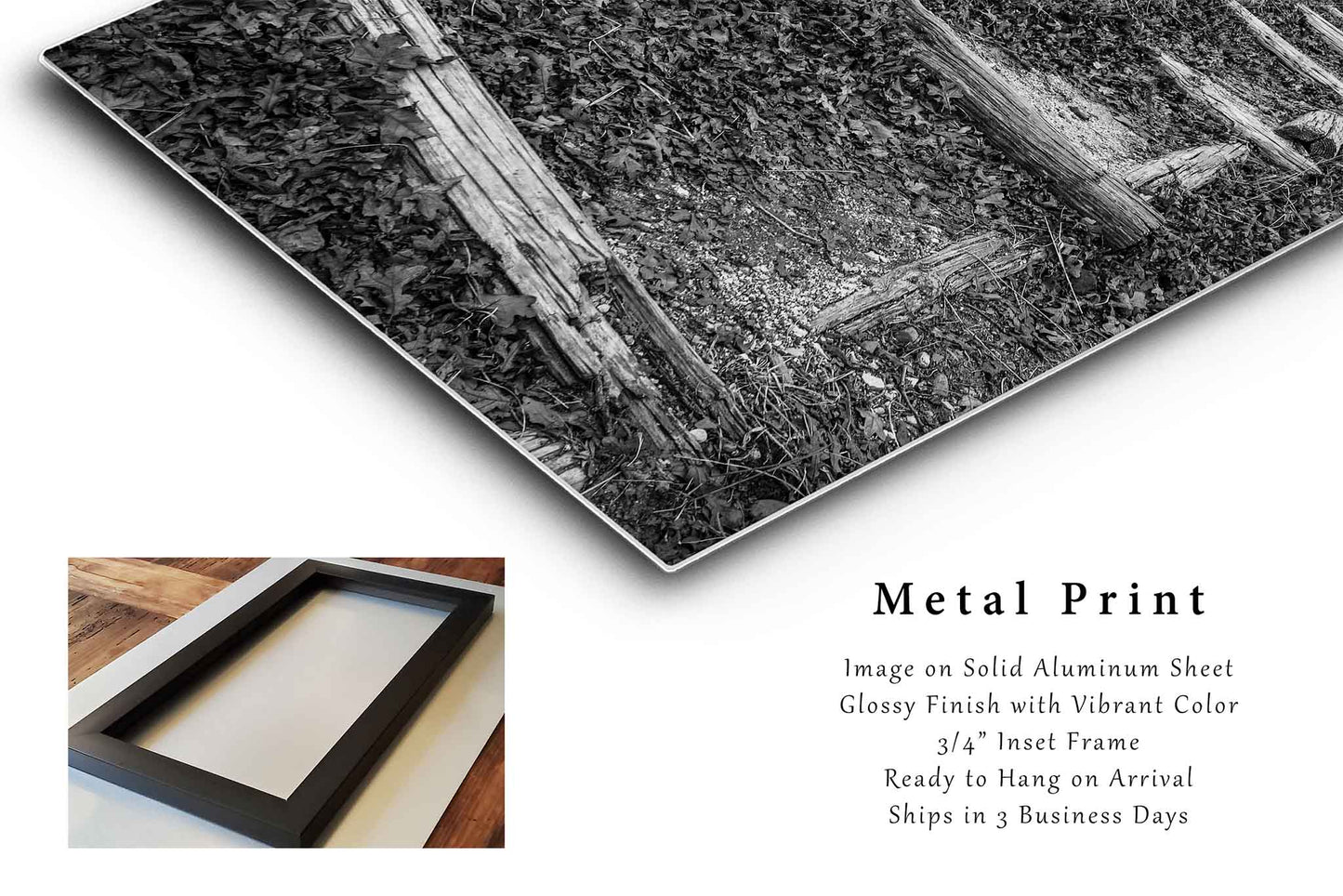 Trail Leading Up Hill in Oklahoma Metal Print Wall Art | Black and White Hiking Photography Outdoors Decor