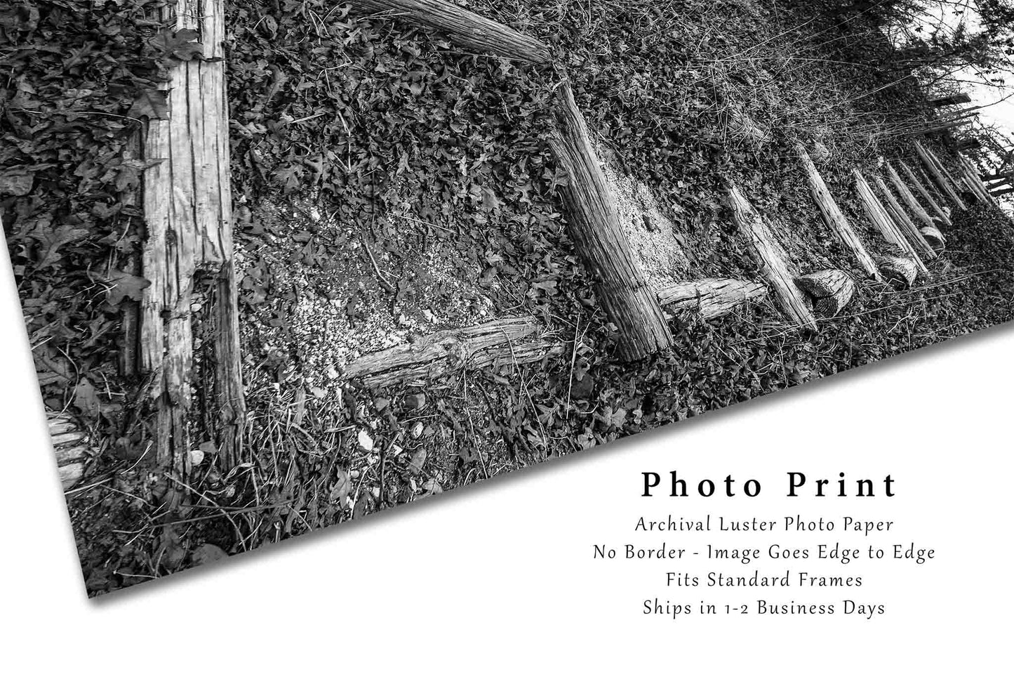 Trail Leading Up Hill in Oklahoma Photo Print (Unframed) | Black and White Hiking Wall Art Outdoors Decor