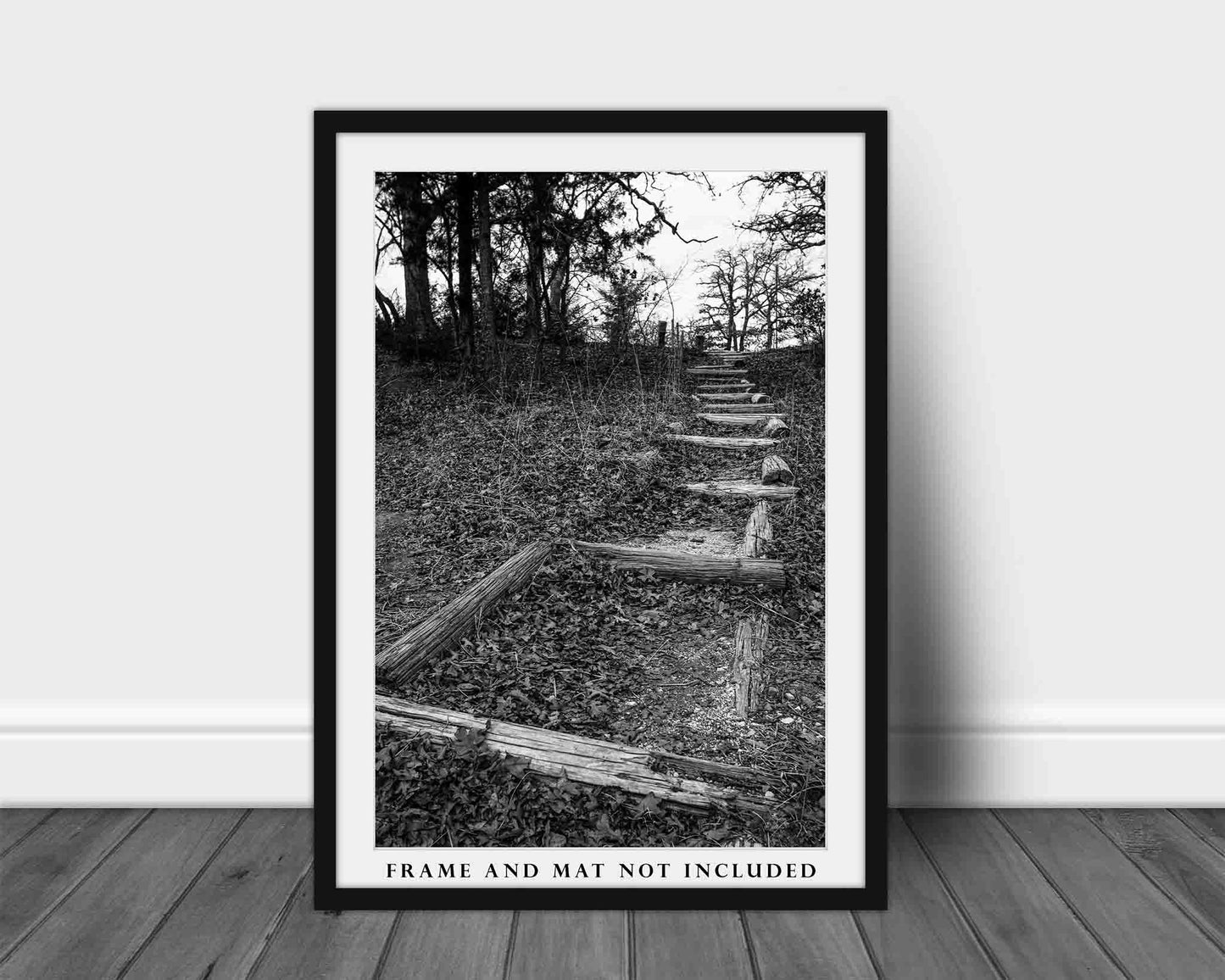 Trail Leading Up Hill in Oklahoma Photo Print (Unframed) | Black and White Hiking Wall Art Outdoors Decor