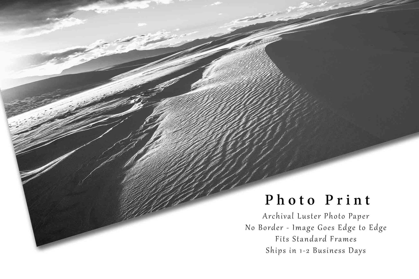 Desert Photography Print - Picture of Sand Dunes at White Sands National Park New Mexico - Black and White Southwestern Wall Art Decor