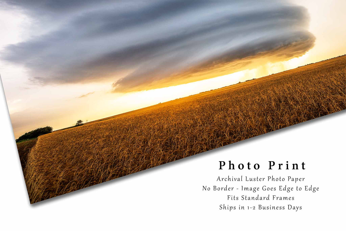 Supercell Thunderstorm Photography Print | Sunset Storm Picture | Weather Wall Art | Oklahoma Sky Photo | Nature Decor | Unframed